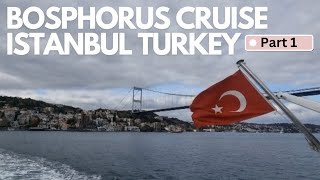 BOSPHORUS CRUISE ISTANBUL TURKEY bosphoruscruise istanbulturkey boattour turkeytourism [upl. by Conner]