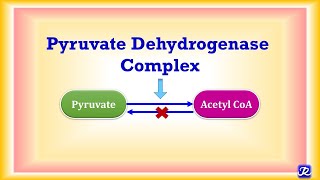 10 Pyruvate Dehydrogenase Complex  Carbohydrate Metabolism 10  Biochemistry  NJOY Biochemistry [upl. by Lledrac]