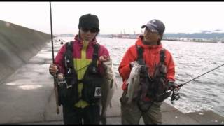 COREMAN lures CORE Vol5  Saltwater Fishing JAPAN [upl. by Stultz]