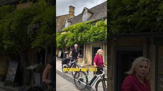 Beautiful tree branch in the Cotswolds trees broadway walking [upl. by Atiz989]