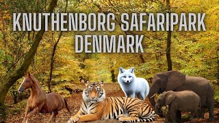 Knuthenborg Safaripark Denmark [upl. by Kcirrej]