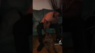 freefire puppy cane doglover fypシ゚viral corsopups dogowner canecorsoitaliano fypyoutube [upl. by Alrep]