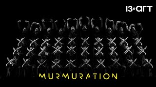 MURMURATION au 13e Art [upl. by Mallina703]