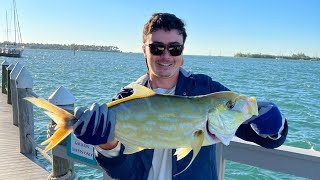 Fishing at the Galleon Resort Pier in Key West Florida See description for setup tackle and tips [upl. by Leroy]