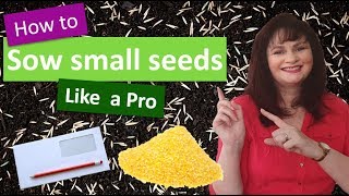 How to sow small seeds like a pro [upl. by Ynnod]