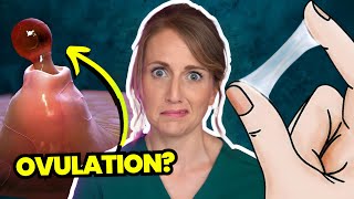 Doctor Answers Top 5 Ovulation Questions  Are you even ovulating [upl. by Atteragram]