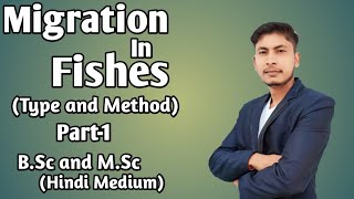 Migration in Fishes and Type of Migration BSc and MSc Part 1 Hindi Medium [upl. by Legyn]