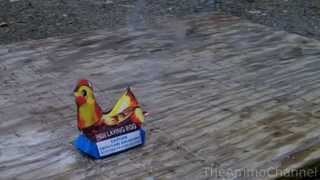 The quotBEST firework EVERquot Hen Laying Egg Banned in many states [upl. by Ring787]