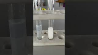 Limewater test for carbon dioxide No sound IMG 0423 [upl. by Aratnahs]