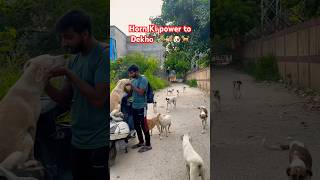 Horn Ki power toDekho 🎺🎺🐶🐕love [upl. by Khoury]