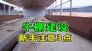 牛场建设，新手一定要注意的3点！这个刚修的养牛场就出问题了 [upl. by Odelia]