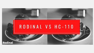 Rodinal vs HC110 [upl. by Assenev]