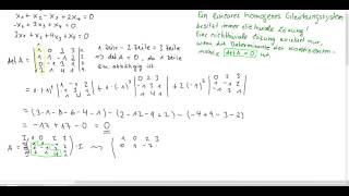 homogenes lineares Gleichungssystem [upl. by Mitinger]