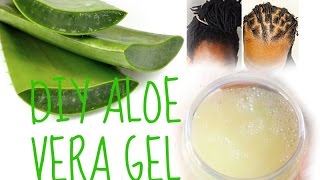 MAKING ALOE VERA GEL  ONLY 5 MINS amp SUPER EASY  6 QUICK FACTS ABOUT ALOE [upl. by Rajiv]