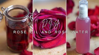 how to make ROSE INFUSED OIL amp ROSE WATER  DIY [upl. by Airelav698]