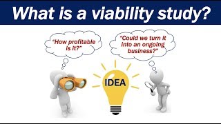 What is a Viability Study [upl. by Auqinom660]