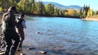 Bulkley Steelhead fly fishing trout creek 2 Wolfgang Fabisch [upl. by Gowon832]