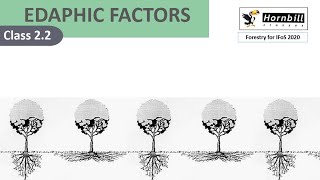 3 IFoS2020  Silviculture  Edaphic factors [upl. by De]