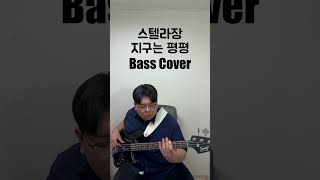 스텔라장 지구는 평평 Bass Cover [upl. by Aramac]