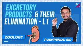 Osmoregulation amp Excretory Structure  Excretory Products and their Elimination Class 11 Biology [upl. by Lled]