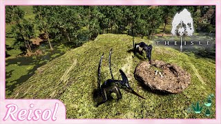 Hunting Frogs Tutorial Pteranodon EP 1  The Isle Evrima [upl. by Darbee]