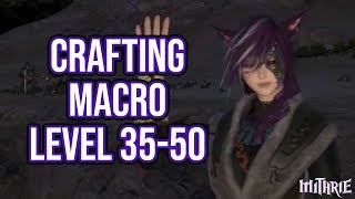 FFXIV 241 0449 Crafting Macro Level 3550 80 Dur 60 Sec Guide [upl. by Londoner449]