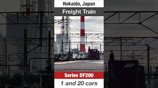 Freight Train  Series DF200 diesel locomotive and 20 container cars  Train Video for Kids [upl. by Nyrmak]