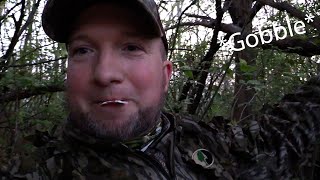 Ohio turkey season  Opening Day 2024 turkeyhunting [upl. by Zacks]