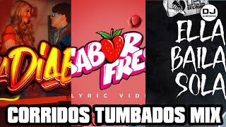 CORRIDOS TUMBADOS MIXX 2024la diablala victimacorazon de piedraTQMtu namecccpeso plumaella b [upl. by Bully]