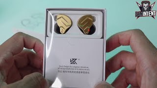 KZ ZSN Pro X Review [upl. by Cinimod]