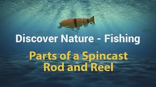 How to Fish  Using a Spincast Reel [upl. by Marshal91]