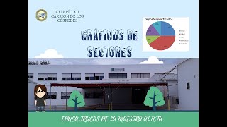 GRÁFICOS DE SECTORES [upl. by Nevlin847]