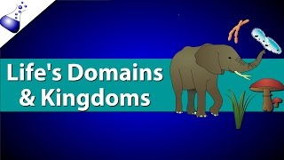 Domains and Kingdoms of life [upl. by Llerol]