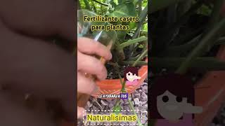 consejo plantas fertilizante casero para plantas [upl. by Tallie811]