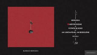 Blindead  Niewiosna full album [upl. by Amihc]