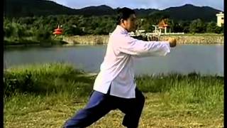 3 正宗楊氏85式太極拳傅清泉 Authentic Yang Style Taichi 85 Form Fu Qingquan [upl. by Enelez]