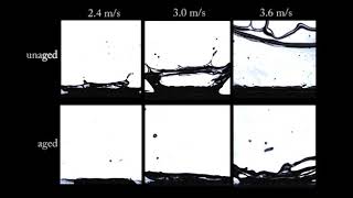 Effect of thixotropic aging on drop impact of yieldstress fluids on thin films [upl. by Isabeau]