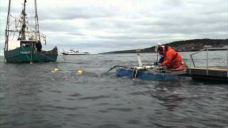 Fundy Tidal Inc Turbine Project [upl. by Ybocaj441]