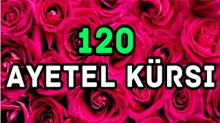 Ayetel Kürsinin gücünü keşfedin Ayetel Kürsi Ayetel Kürsi Dinle 215 [upl. by Eixam268]