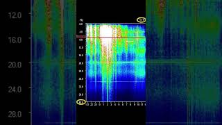 Schumann Resonance Today 1111 2021 More info in Video Description [upl. by Cupo340]