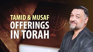 What are Tamid and Musaf Offerings in Torah Numbers 28249 [upl. by Atal]