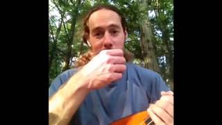 The secret to quotTHE FAN STROKEquot  Ukulele Flamenco Strumming  The Flick [upl. by Obed654]