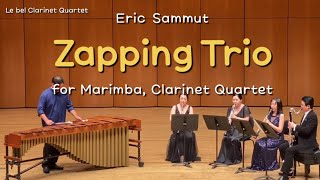 Zapping Trio for Marimba Clarinet Quartet [upl. by Millur]