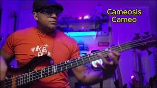 Cameosis  Cameo  Bass Cover [upl. by Airotkciv147]