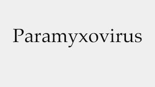 How to Pronounce Paramyxovirus [upl. by Solram]