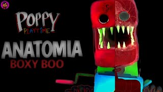 A ANATOMIA BIZARRA Do BOXY BOO Project Playtime [upl. by Otaner]