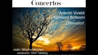 Dittersdorf Sinfonia Concertante For Viola DoubleBass And Orchestra 1 Allegro [upl. by Dale]