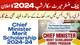 Chief Minister Merit Scholarship 202424The punjab educational endowment fund scholarship 202425 [upl. by Rhynd]