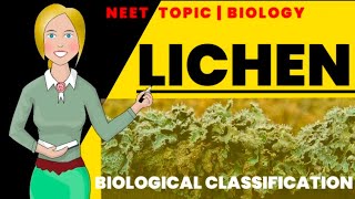 Lichen  Biological Classification  Biology class 11 NEET [upl. by Lyle]