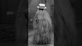 Cousin Itt from the Addams Family short 1unboxing happy [upl. by Aldas]